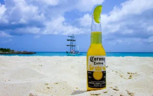 corona beer