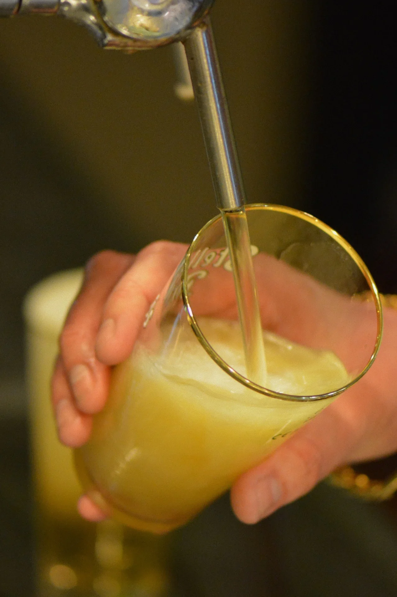 Which Beer Is Yeast Free?