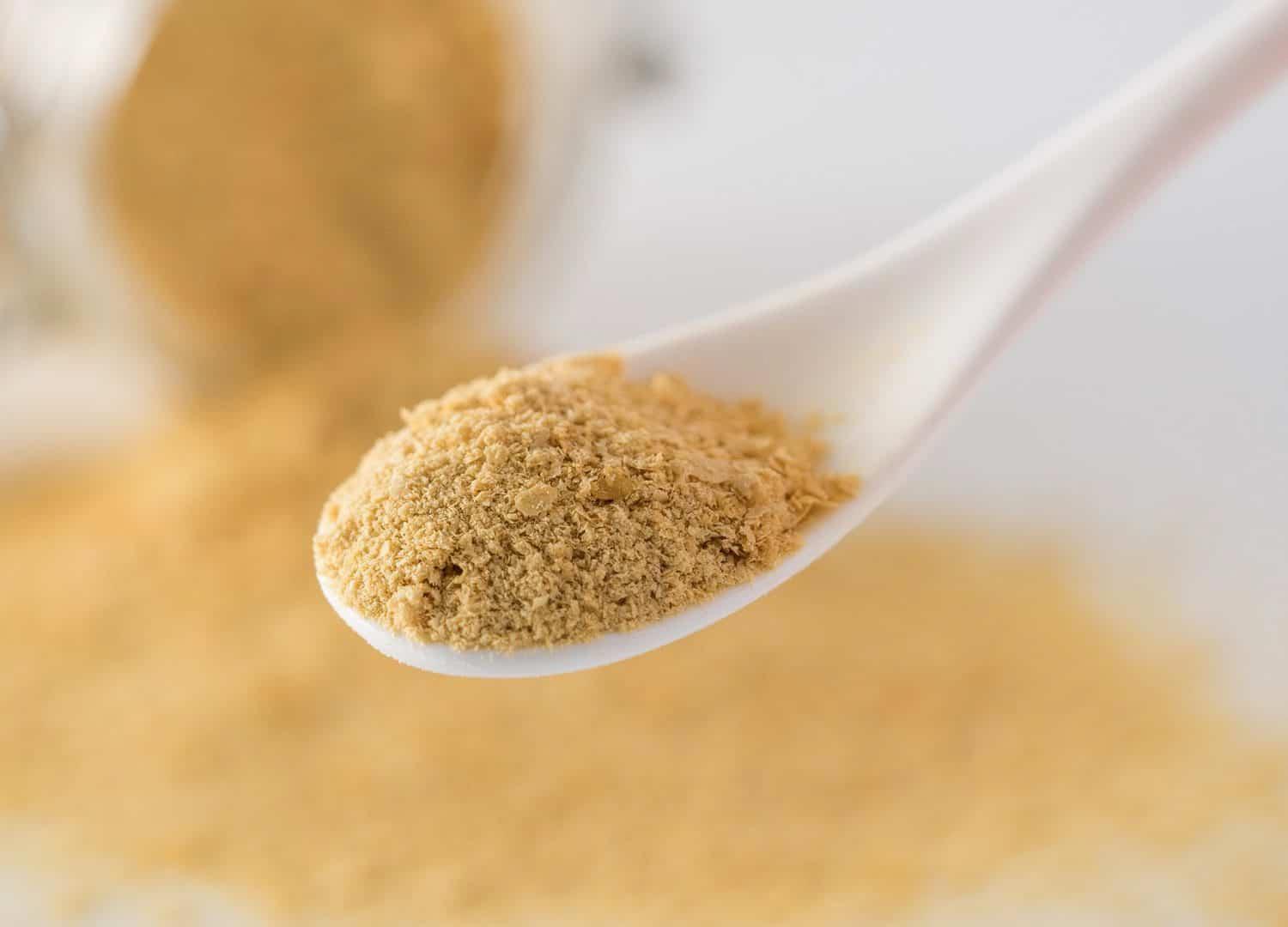 brewers yeast substitute