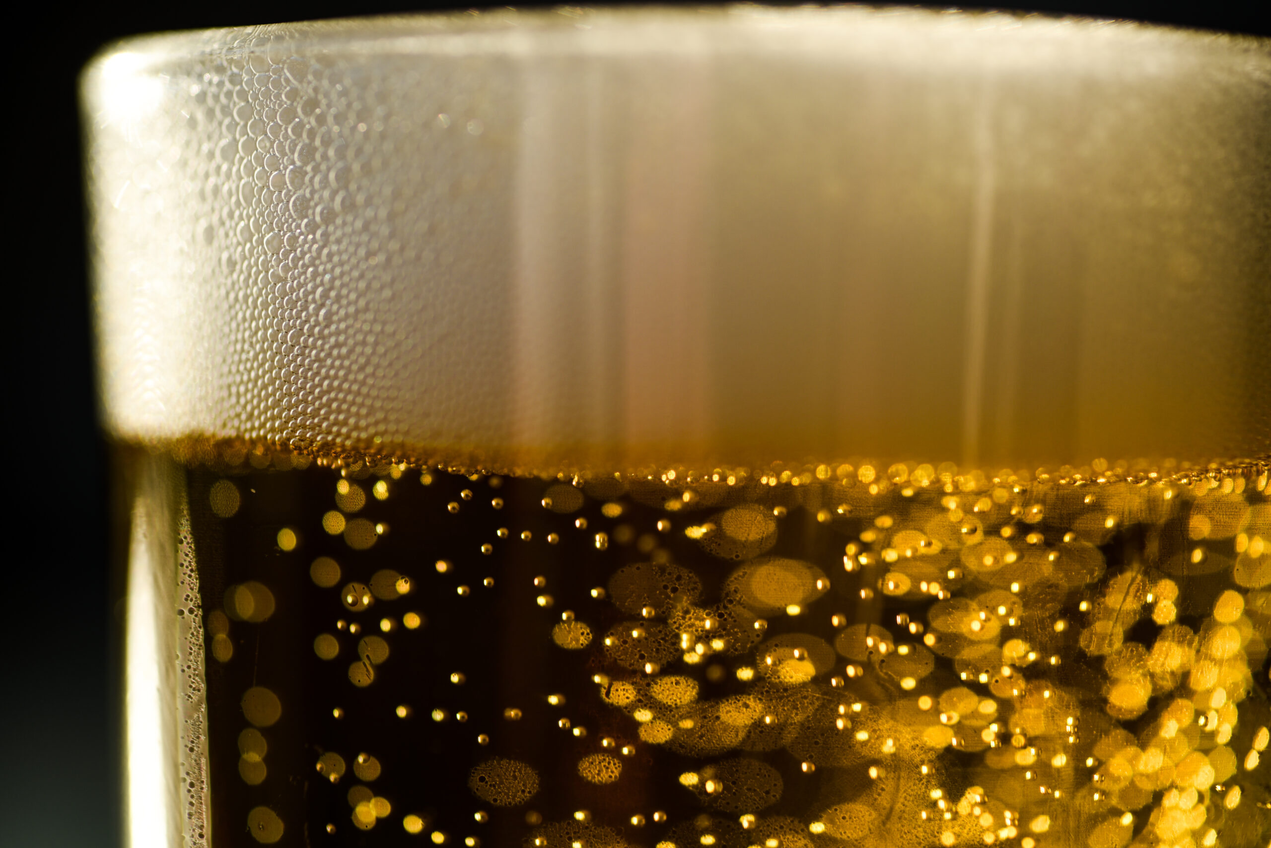 What Are Lagers 