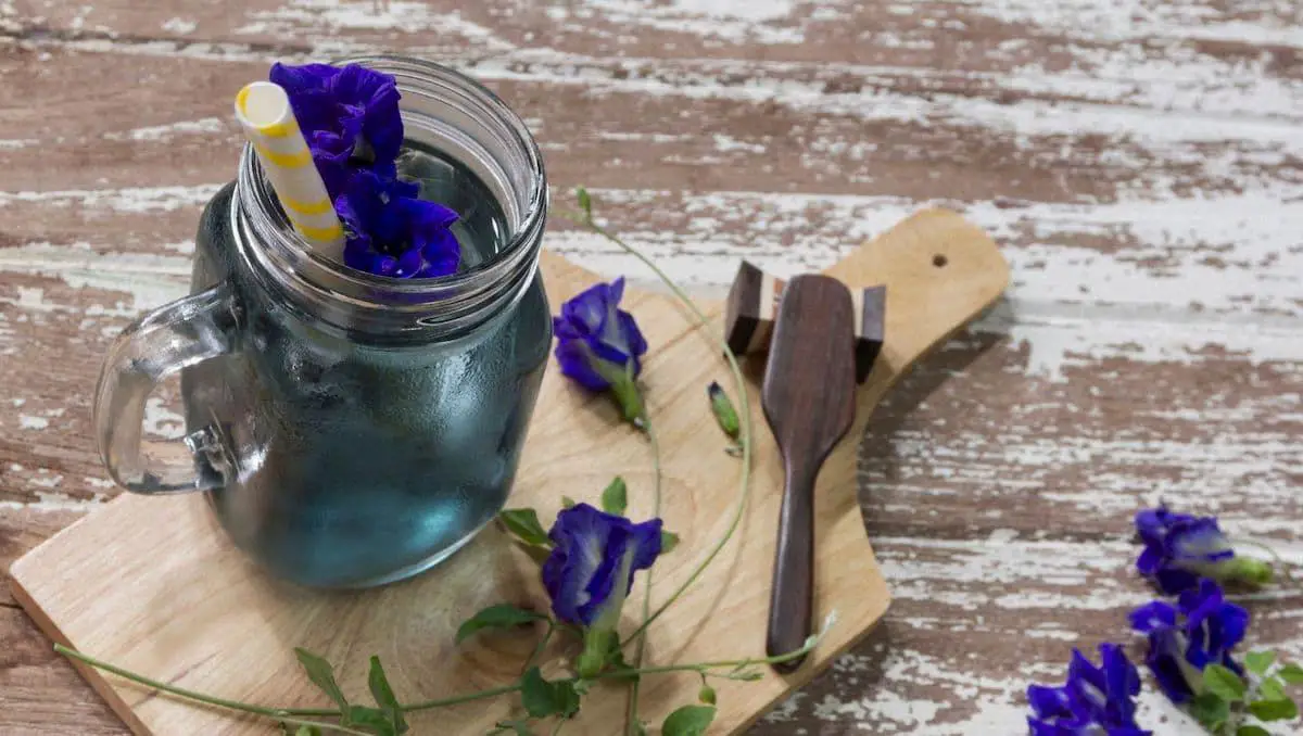 Butterfly Pea Syrup - 33 Facts & Answers