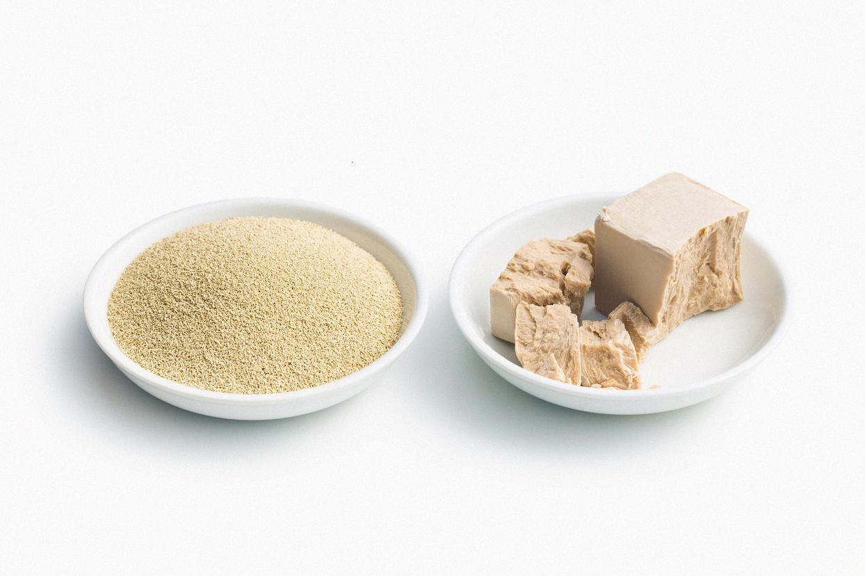 difference between dry and wet yeast