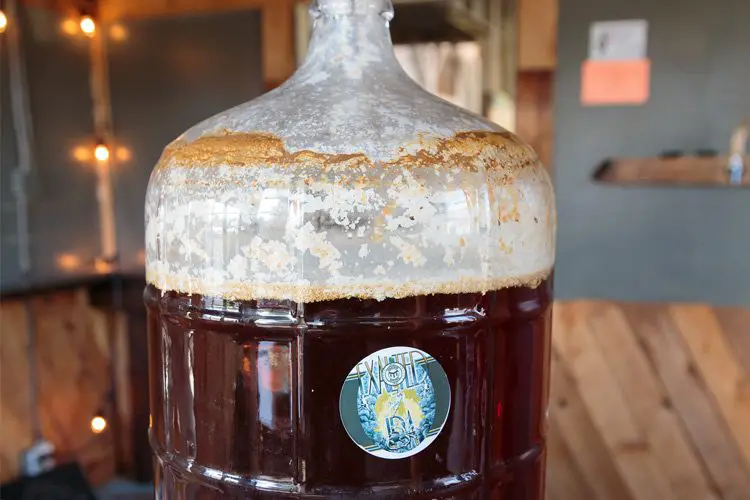 How to Ferment Beer