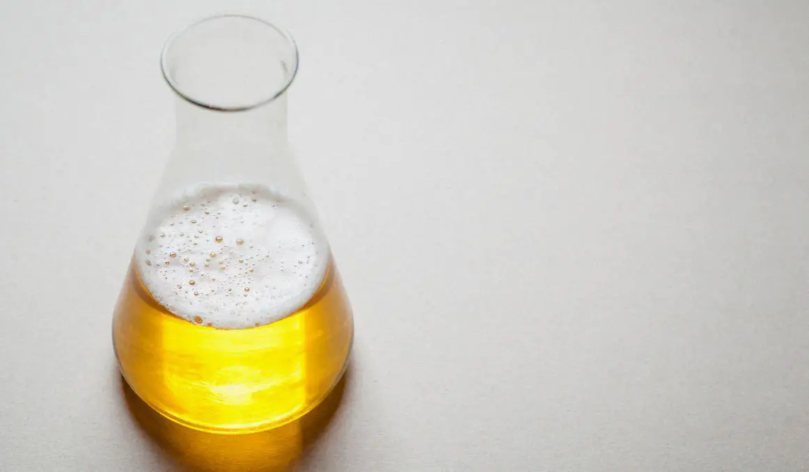 sulfites in beer