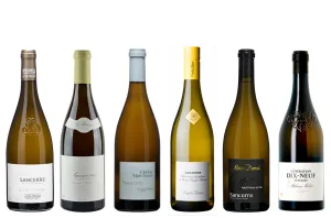 Best Sancerre Wines 1672232292