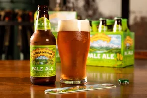 Sierra Nevada Pale Ale 1672060997