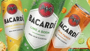 bacardi wine coolers 1 1