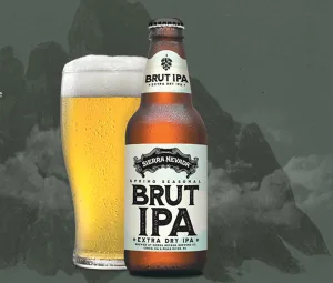 brut IPA 1671452315 1