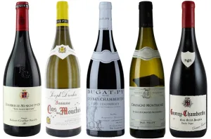 burgundy wine brands 1671455462 1