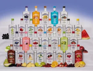 burnetts vodka flavors 2 1