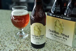 dogfish head 120 1 1