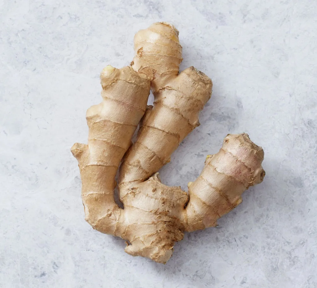 The Spice Of Life Exploring The Differences Between Ginger Beer And Ginger Ale