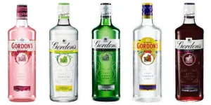 gordons gin price 2 1