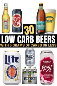 low carb beer list 3 1