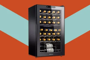 wine fridge 1671646566