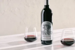 Alexander Valley Cabernet 2018 1672940849