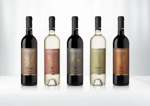 Binyamina Wine 1674649623