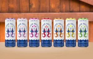 Bon Viv Spiked Seltzer 1674189413