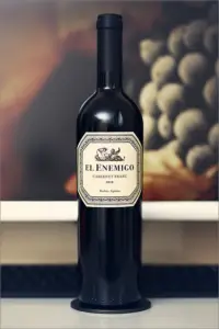 El Enemigo Cabernet Franc 1672581206