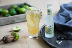 Fever Tree Ginger Beer 1672706492