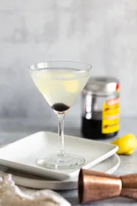 Gin Sour Cocktail 1673084021