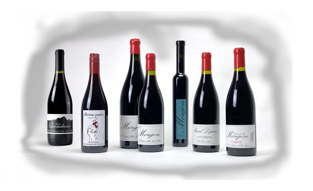 Marcel Lapierre wines 1673357876