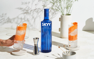 SKYY Vodka 1673524868