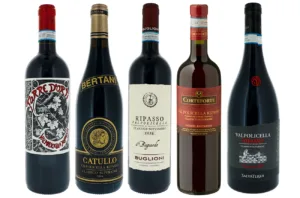 Valpolicella Ripasso 1675135241