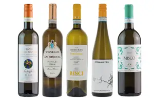 Verdicchio 1675135376