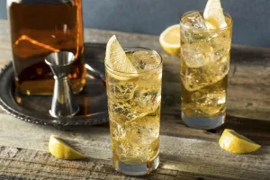 Whiskey Highball Cocktail 1673637570