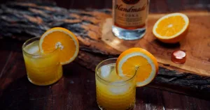 orange juice and vodka 1 1