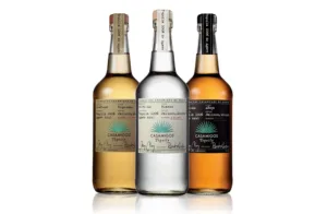 casamigos wiki 4 1