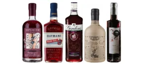 sloe gin brands 1 1