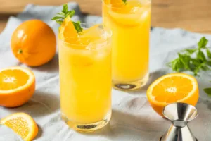 Bocce Ball Cocktail Recipe 1679452360