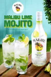 Malibu Mojito 1680094516