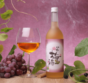 Nakano Umeshu Plum Wine 1678183605