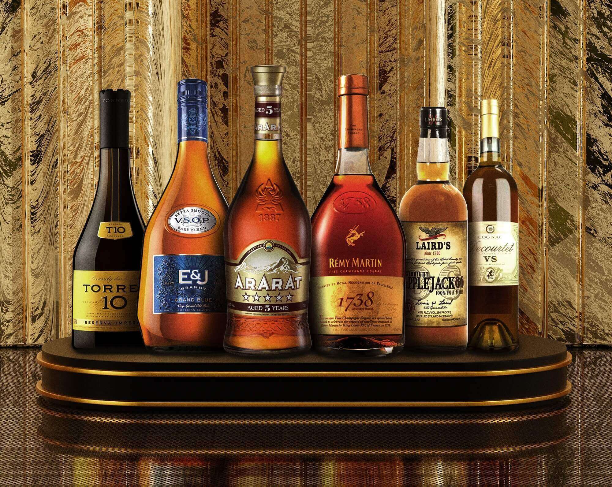 Beginner's Guide to the Best Brandy