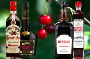 Variety of Cherry Liqueurs 1683629489