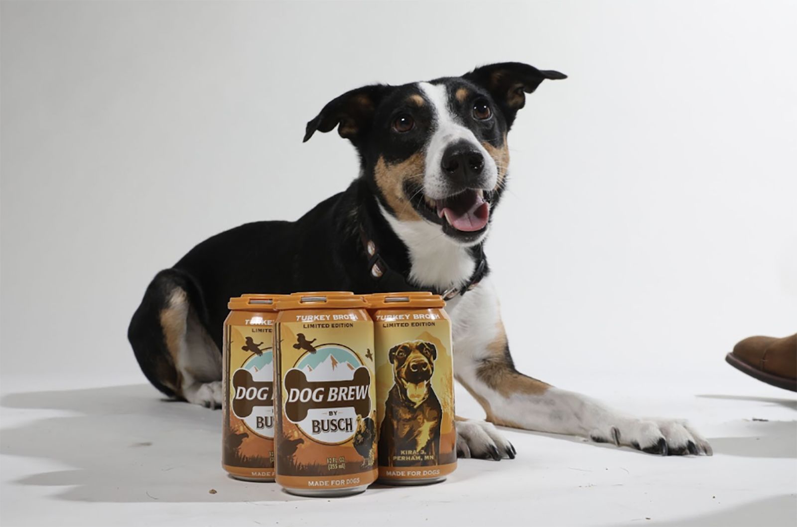 Busch Launches AllNatural Dog Brew!
