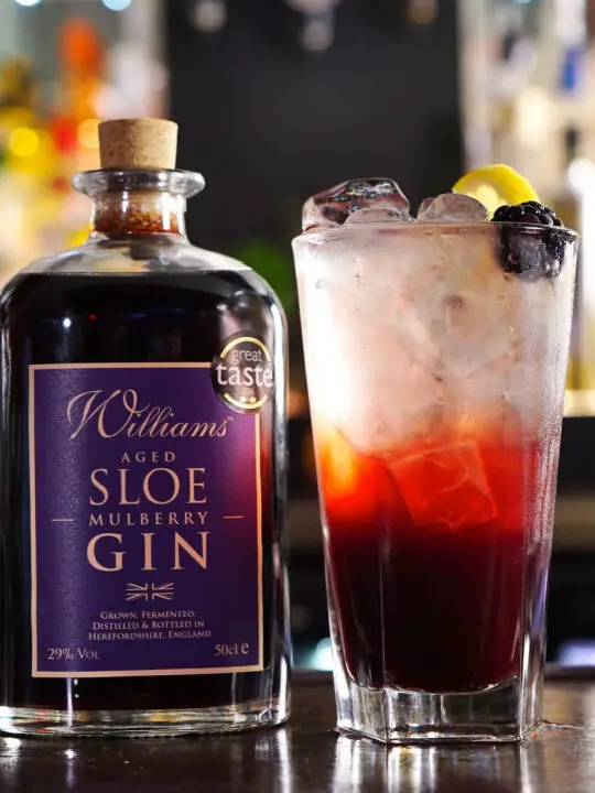 Sloe Gin Cocktails 1687340808