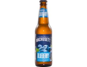 Wachusett Blueberry Ale 1687953264