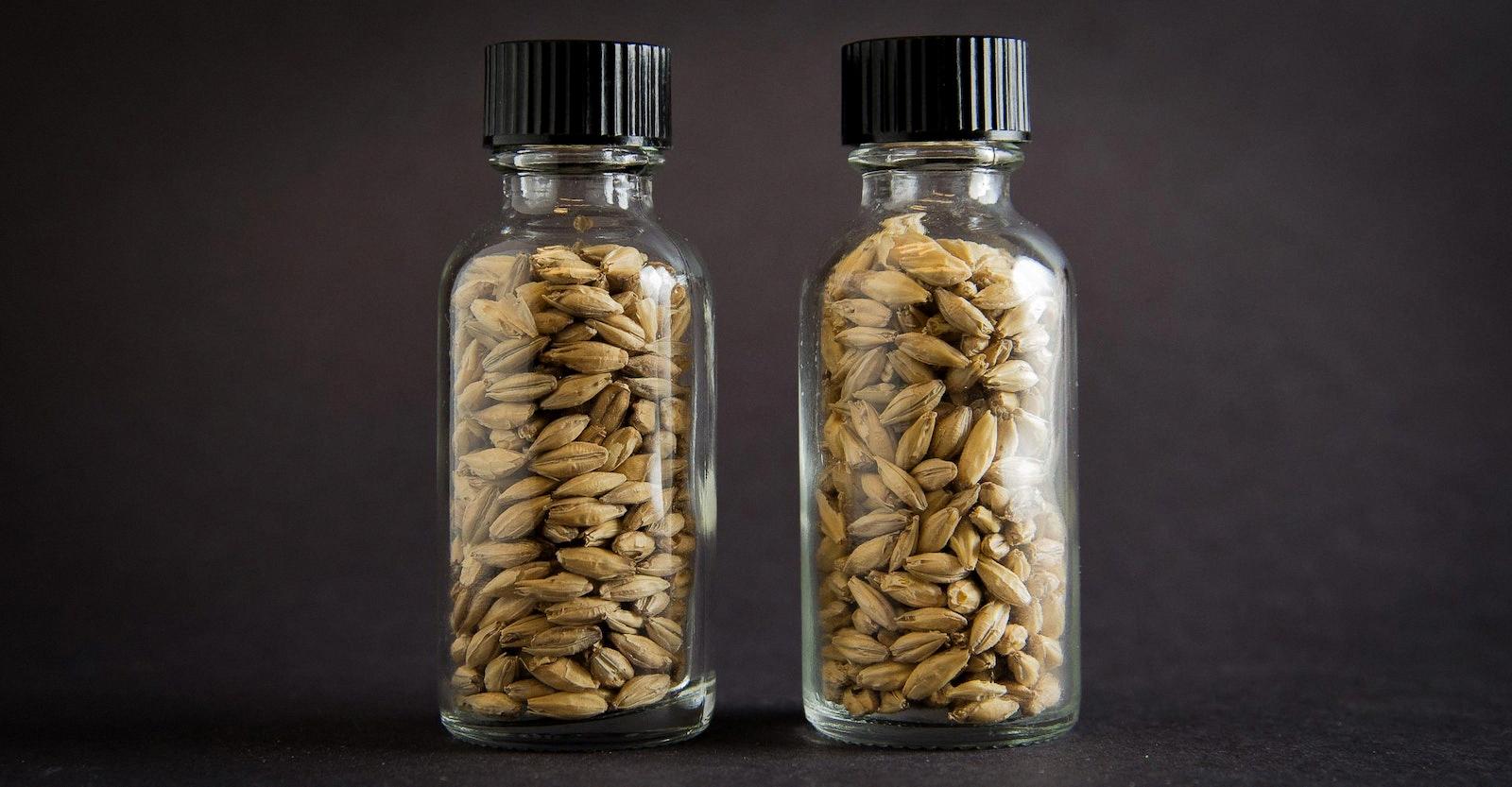 Benefits of 2Row Pale Malt