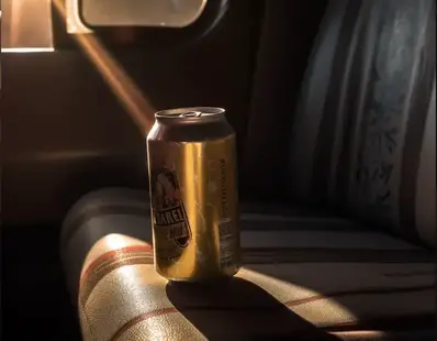 Beer in the Car 1688455115