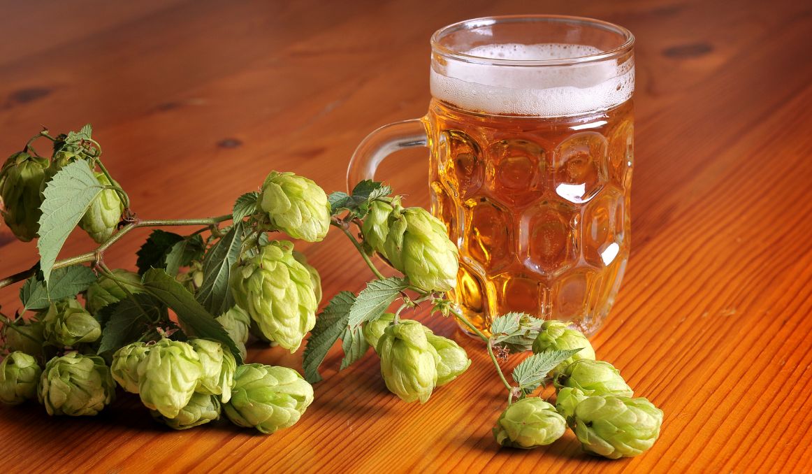 The Benefits of Hoppy Beer