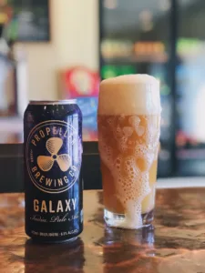 Propellers Galaxy IPA 1688569002