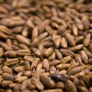 Red Rye malt 1689176062