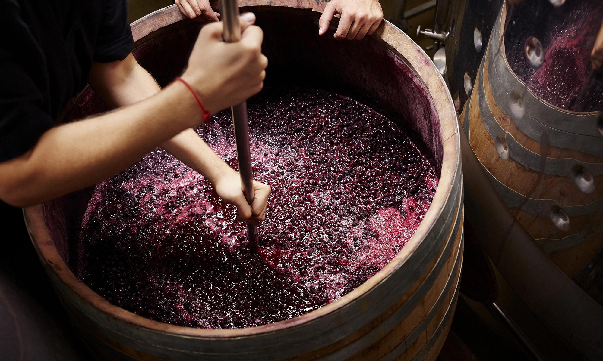 fermenting wine