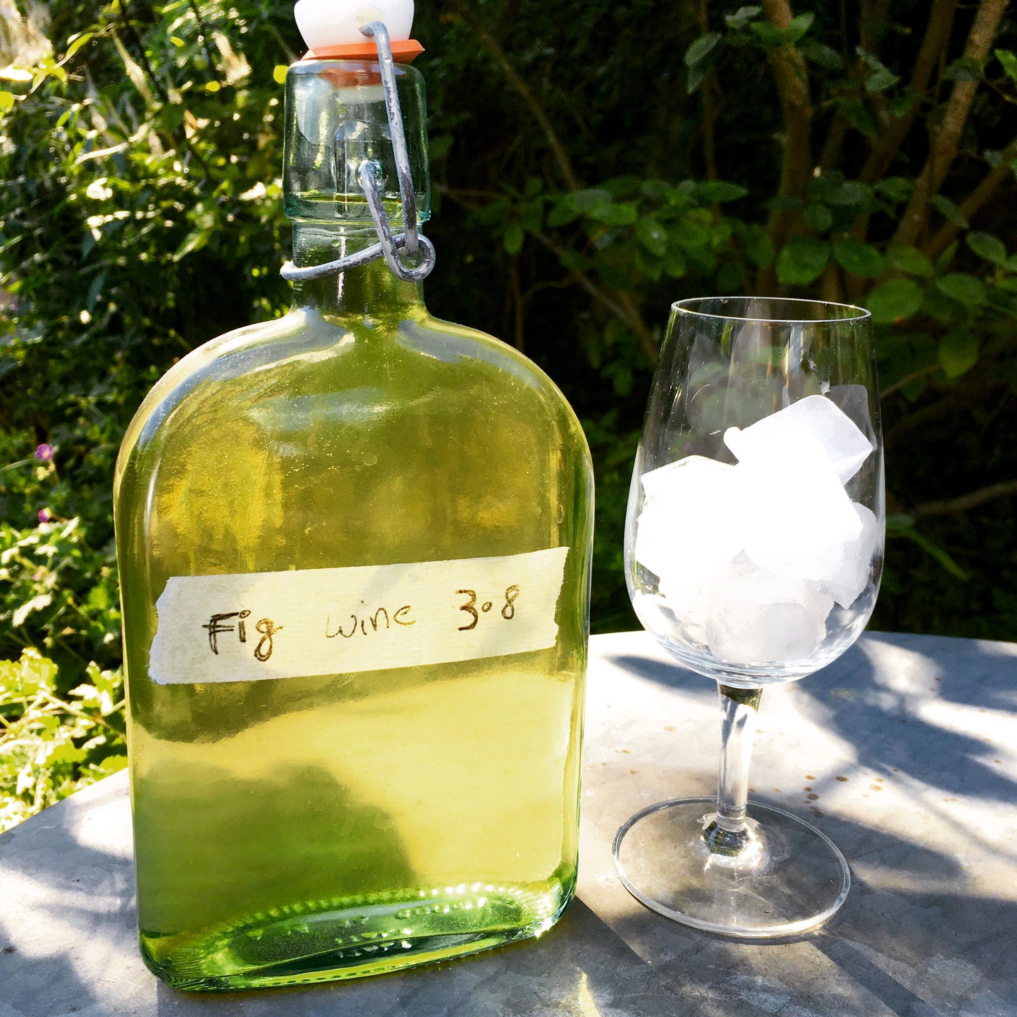 fig wine recipe