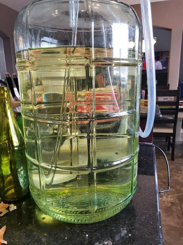 filtering mead