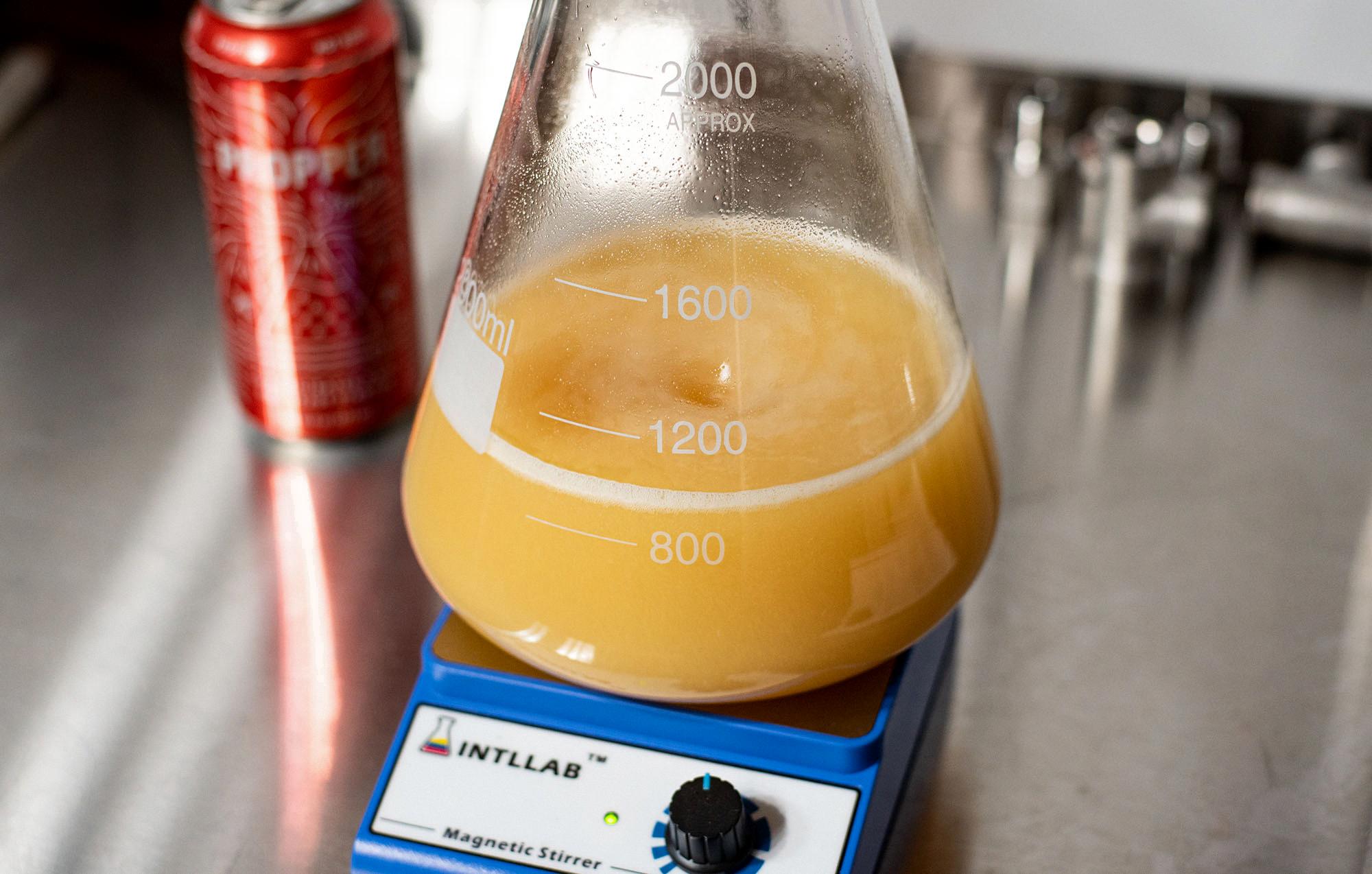how to make a yeast starter for beer